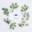 KORRES PHILOSIA EAU DE TOILETTE 50ML