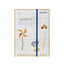 KORRES LIMITED EDITION ADVENT CALENDAR 2024 SPREAD JOY!