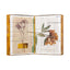 KORRES LIMITED EDITION ADVENT CALENDAR 2024 SPREAD JOY!