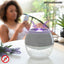 INNOVAGOODS -  ANTI-MOSQUITO SUCTION LAMP KL GLOBE INNOVAGOODS