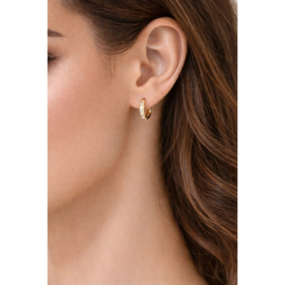 DELIA - ELEGANT SIMPLE STYLE SOLID COLOR INLAY 304 STAINLESS STEEL ZIRCON WHITE GOLD PLATED HOOP EARRING