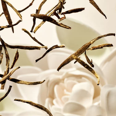 RITUALS - THE RITUAL OF KARMA BATH & BODY GIFT SET BIG